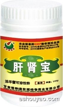 肝腎寶