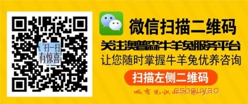 幾種新型的多肽類(lèi)抗菌.